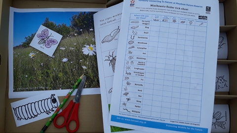 Heysham Nature Tots