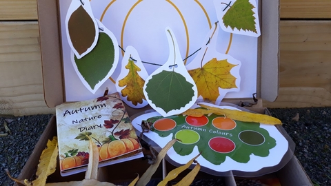 Autumn Nature Tots