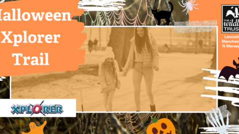 Halloween Xplorer Trail