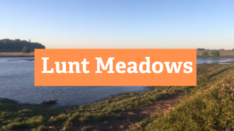 Lunt Meadows - wild improvements on the way