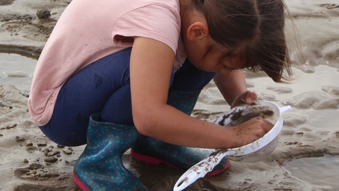 Mud dipping