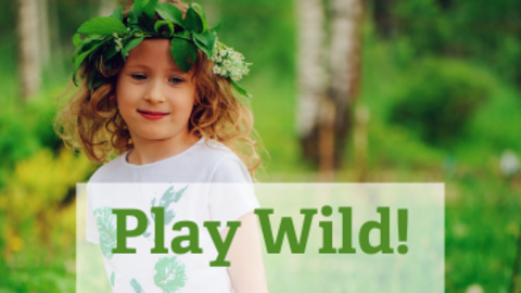 Play Wild