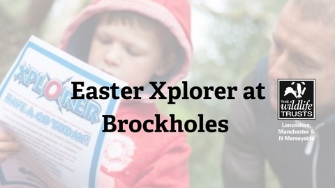 Brockholes Xplorer