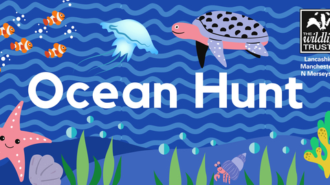 Ocean Hunt