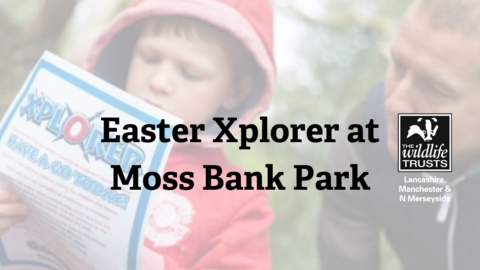 Easter Xplorer