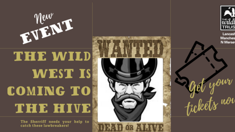 wild west