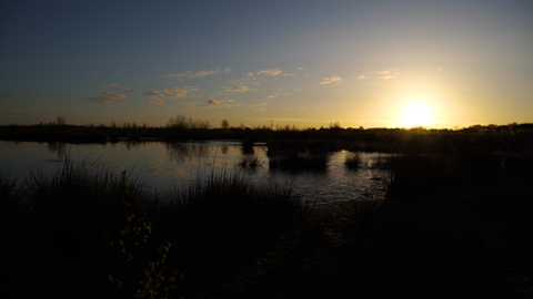Little Woolden Moss bog pool in silhouette at sunrise