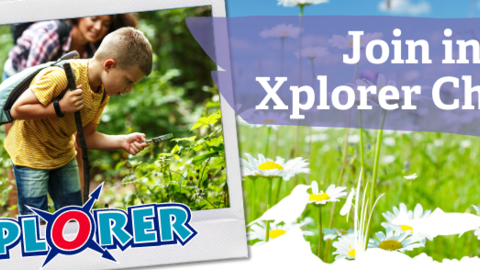 Summer Xplorer Challenge at Brockholes