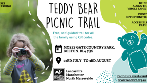 Teddy Bear Picnic