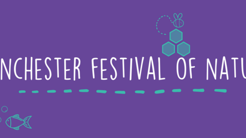 Transforming Greater Manchester | MFoN 2021