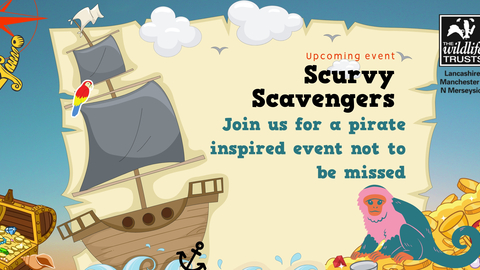 Scurvy Scavengers