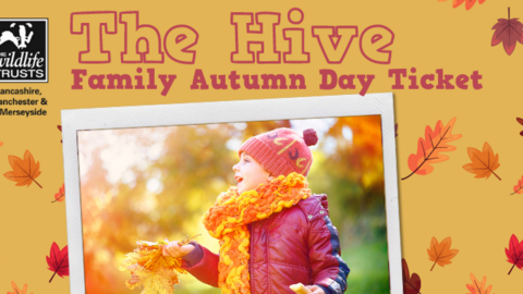 The Hive Family Day Pass (Autumn)
