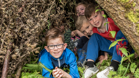 Den building