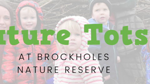 Nature Tots at Brockholes Nature Tots