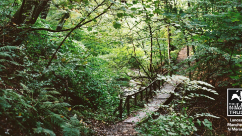 Bradley brook