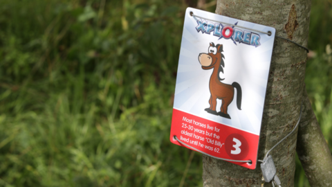 Xplorer