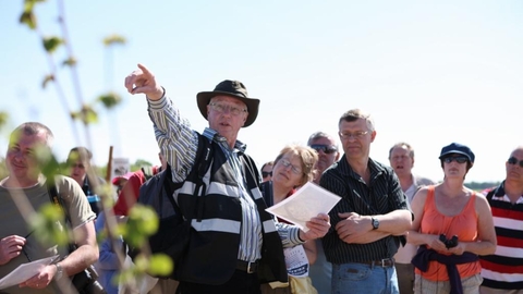 guided walk