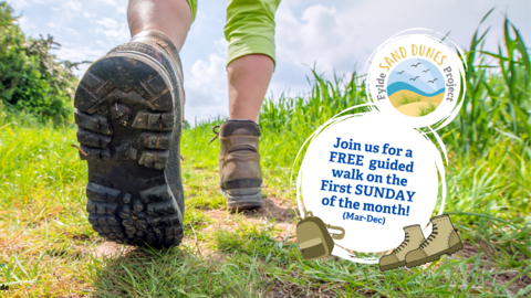 Fylde Sand Dunes Guided Walk