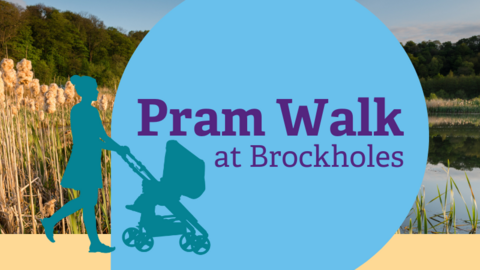 Pram Walk