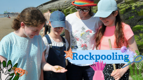 Rockpooling, Blackpool