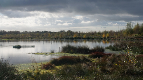 A cloudy Little Woolden Moss with a large pool of water.