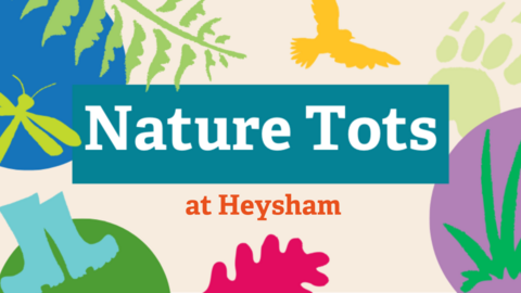 Nature tots at Haysham