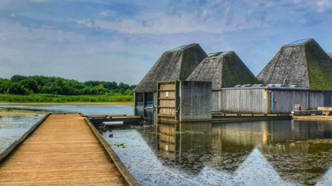 A view of Brockholes from the boardwalk
