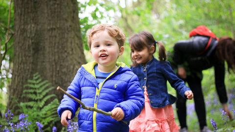 Children in a wood in spring