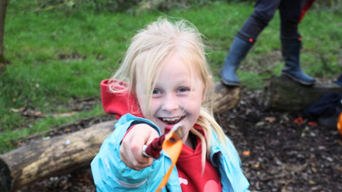 Woodland Fairy Tale Adventure 