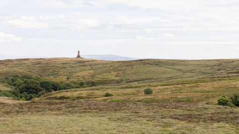Darwen tower in the distance on Darwen Moor.