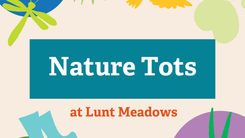 Text says Nature Tots at Lunt Meadows with colourful images of a paw print, flying bird, dragonfly, wellies, a fern lead and grass