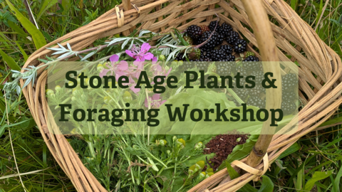 Stone Age Plants and Foraging Workshop text over a photo of a woven basket filled with wild plants, fruit and petals