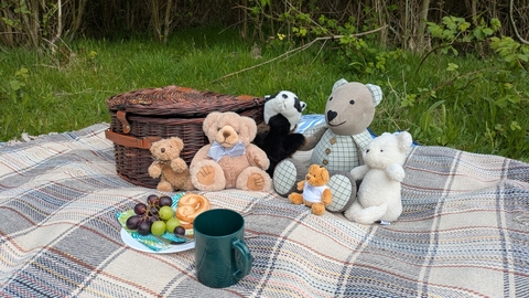 five teddies and a badger sit with a picnic basket on a blanket with grapes and a cake in the outdoor classroom at Lunt Meadows