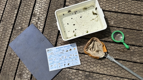 Pond dipping equipment