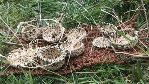 A collection of woven baskets made from grasses