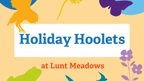 Text says Holiday Hoolets at Lunt Meadows with silhouettes of a barn owl, flowers, butterfly, frog and swifts