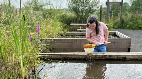 A girl pond dipping at Brockholes