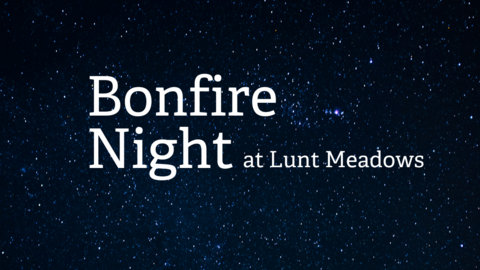 Lunt Meadows Bonfire Night