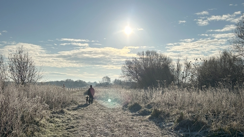 A person walks a dog along a frosty path in winter with a sunny clear blue sky