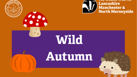 Wild Autumn