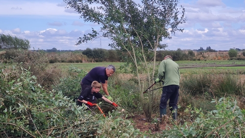 Three volunteers cutting down willow in a grassland at Lunt Meadows