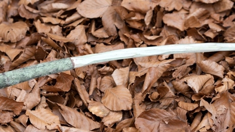Wand on leaf background