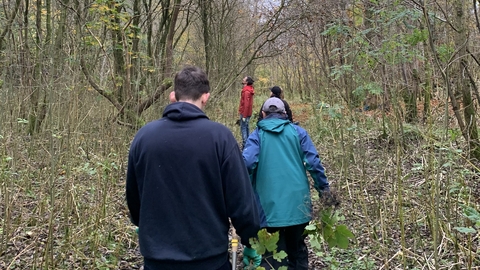 A group of volunteers in a woodland