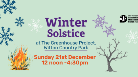 Details of the winter solstice event