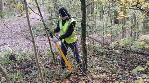 Man using tree popper in Woodland management