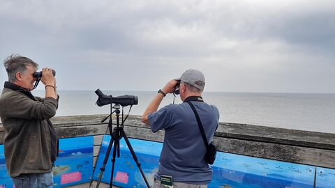 Two people are standing using binoculars, scanning the horizon in different directions