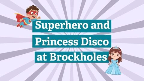 Superhero and princess disco at Brockholes. 