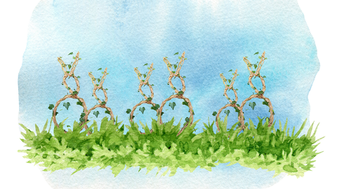 Willow Bunny Wreaths