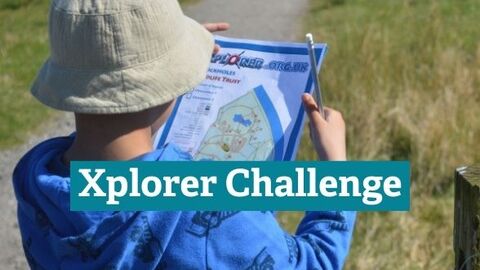 Child looking at Xplorer Challenge Map