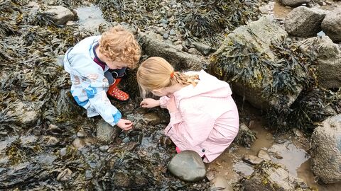rock pooling at HMB